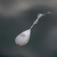 Korda Interceptor Surface Floats